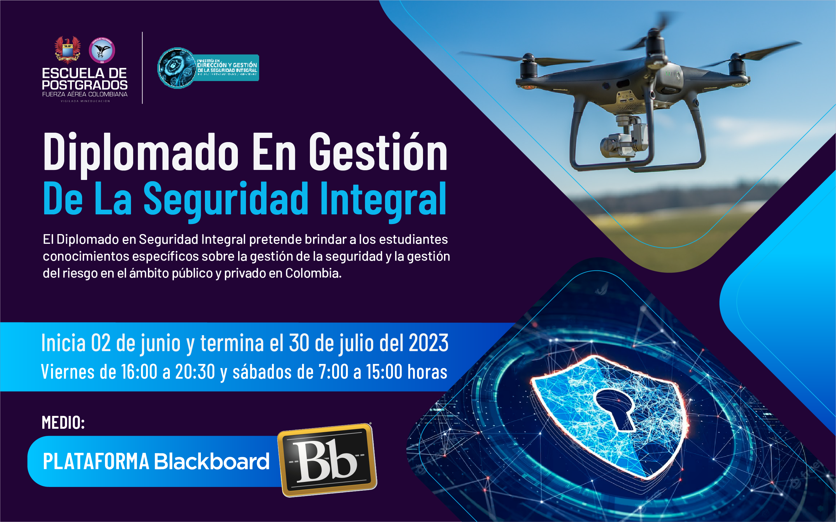 Diplomado en Gestión de la Seguridad Integral 2023